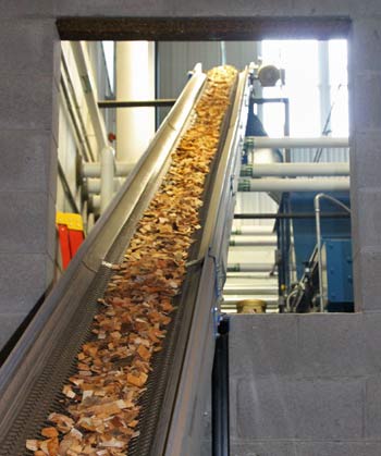 Wood Feed Belt