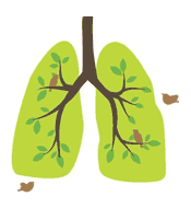 Pulmonary Rehabilitation